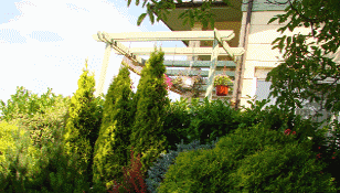 Kert�p�t�s kertfenntart�s gyepsz�nyeg fektet�s �nt�z�rendszer telep�t�s �rak.